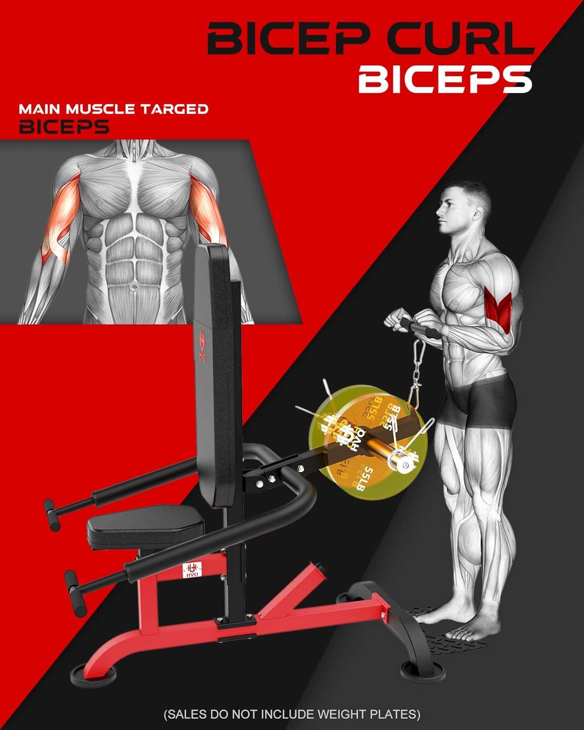 Seated Dip Machine Bench_Home Fitness Gear